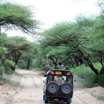 students on a safari drive