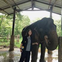This photo shows an elephant, Koon, and I side by side. 