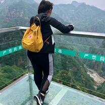 The Glass Bridge 