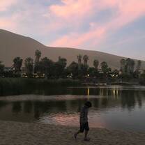 in the desert