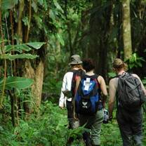 GVI: Internships in Costa Rica