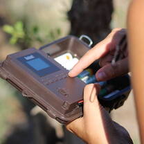 Field guide training in Limpopo