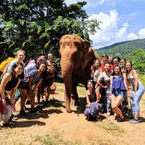Here we learned the importance of respecting elephants and how to keep them safe. It made us love elephants more!