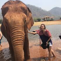 Went to an elephant sanctuary!
