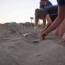 GVI: Volunteer in Greece