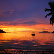 GVI: Internships in Seychelles
