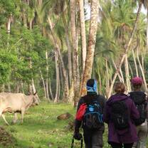 GVI: Internships in Costa Rica