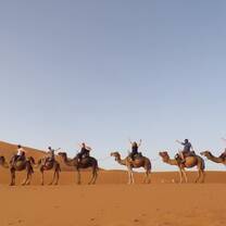Weekend in the Sahara! 