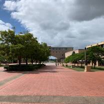 CISabroad - Summer on the Gold Coast australia