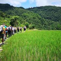 For two of the days, we hiked up to the clouds and back, and at the beginning of the hike we walked through some fields which were gorgeous and serene. 