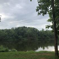 Lush landscape in the morning before bathing elephants