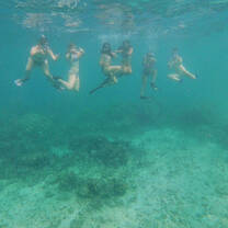 Snorkeling in Bayahibe. We just finished a Parrotfish ID so we could get familiar with identifying different Parrotfish.