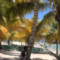 We stayed the night at Isla Saona to study turtles.
