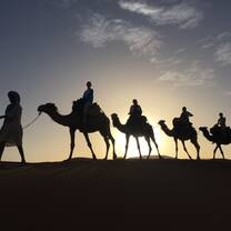 Photo from camel riding at sunset in the Sahara 