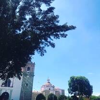 The Sunday market in Oaxaca
