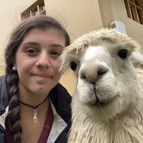 Alpaca
