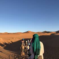 The super amazing camel ride through the Sahara desert 