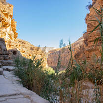 Wadi Qelt