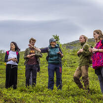  Alpine botanical garden in Khibiny mountains