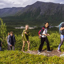  Alpine botanical garden in Khibiny mountains