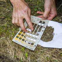 Urban soils and green infrastructure of Apatity town
