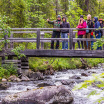 Lapland natural reserve