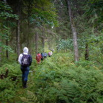 Central forest natural reserve