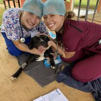 Me and a fellow pre vet student in recovery with a dog after surgery 