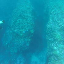 One of the many snorkel experiences you will have 