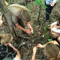 Foraging and mushroom hunting with Nicholas Gale 