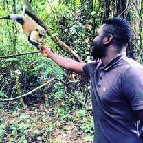 Tafi Atome Monkey Sanctuary is where to experience wild but playful Mona monkeys that have been inhabiting the protected forest for over about 200yrs