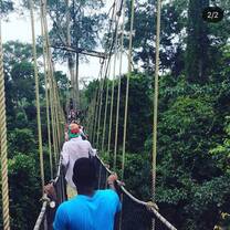 Kakum National Park is on coast of southern Ghana, in West Africa. It protects an area of rainforest, home to endangered mammals such as forest elephants, bongo antelopes and primates like the Diana monkey. The park is rich in butterflies and birds, including African grey parrots and horn bills. The Canopy Walkway, suspended 30 meters above the ground, provides treetop views of the forest.
