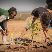 Planting trees on an re-planting forest conservation project