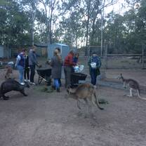 Working with Trish in toowoomba
