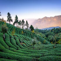 Taiwan
