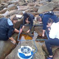 Inter-tidal study