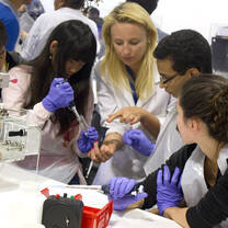 Lab Experiments