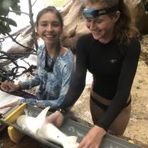 Assisting in the data collection and recording of a Lemon Shark pup.