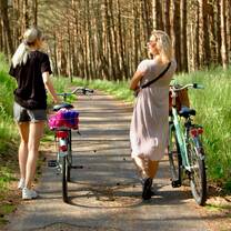 Bike rides