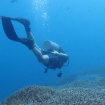 Open Water Scuba Diving Course