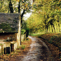 england