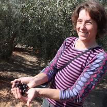 A day in the countryside collecting olives