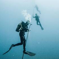 Volunteers Diving