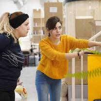 Work and cooperate with other volunteers