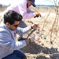 Work with local Armenian farms