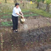 A volunteer taking up gardening