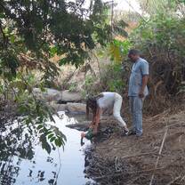 fetching water