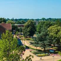 Study Abroad Programs at University of Southampton