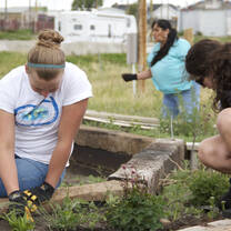 Planting flowers and herbs