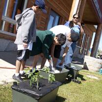 Planting container gardens